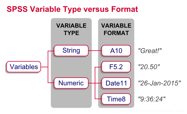 Types of variables. Variable Types statistics. Types of variables in statistics. Variables примеры.