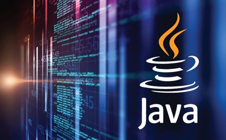 Java Programming Language