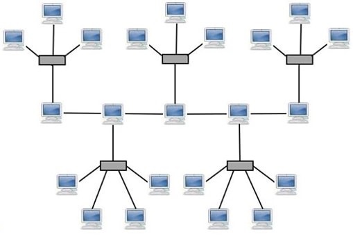 Network Types 