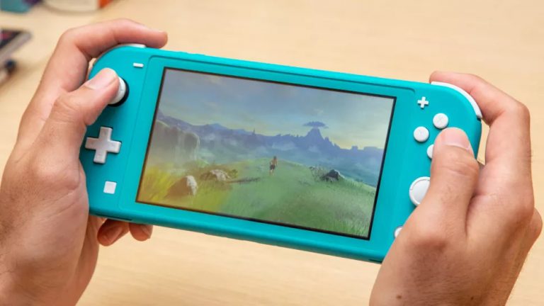 nintendo switch lite difference between normal switch