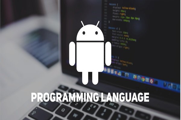 What Programming Languages Are Suitable For Building Android Applications?