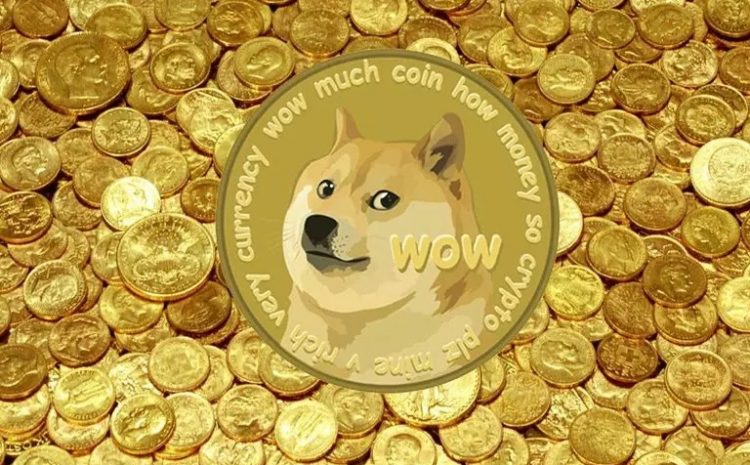 What Is Dogecoin? Everything You Need To Know About Dogecoin Archives ...