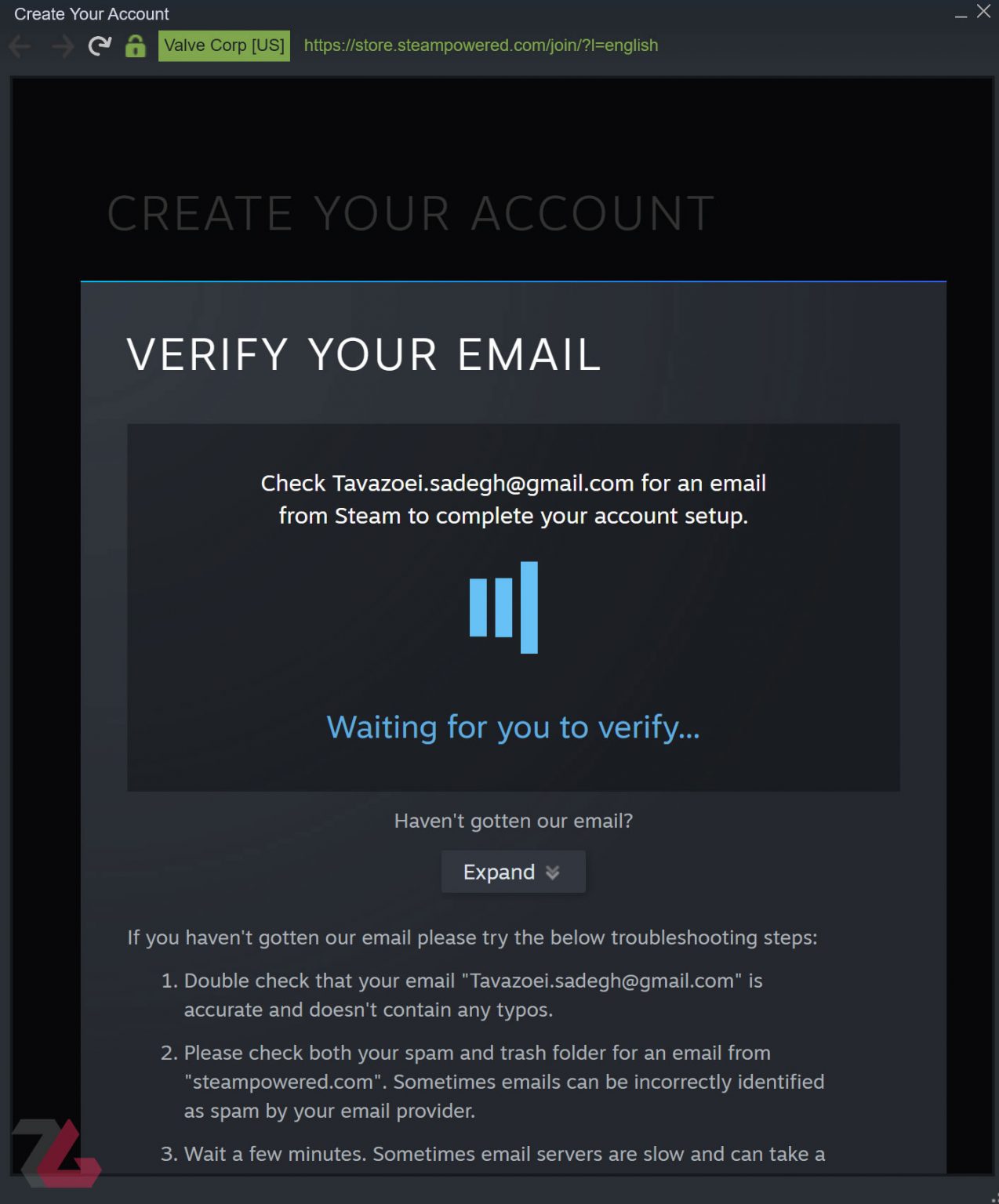 why cant steam verify my login information