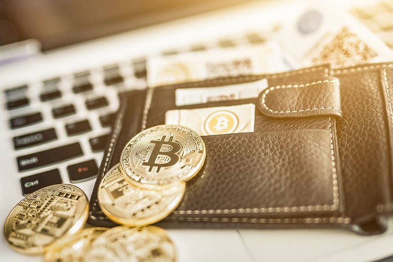 what are the best cryptocurrency wallets