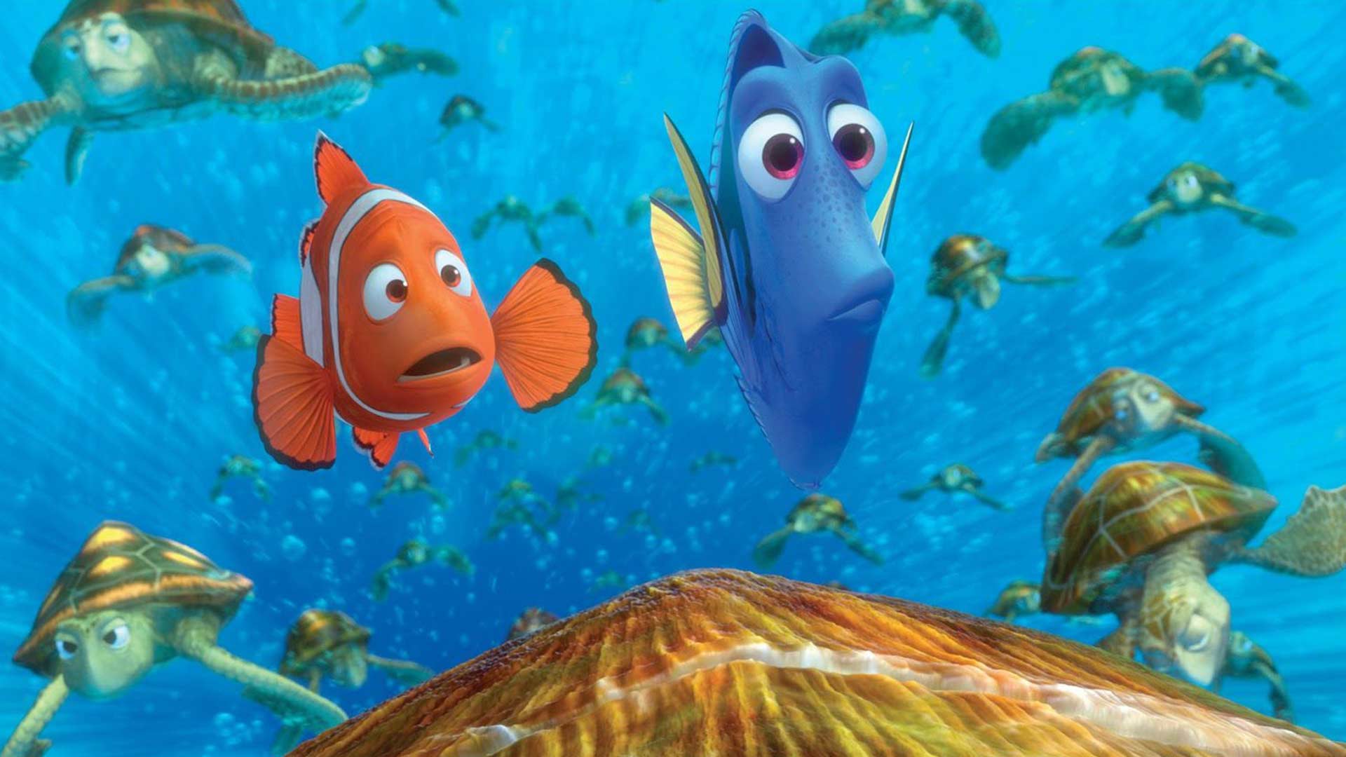 Fish swimming in animation in search of Nemo