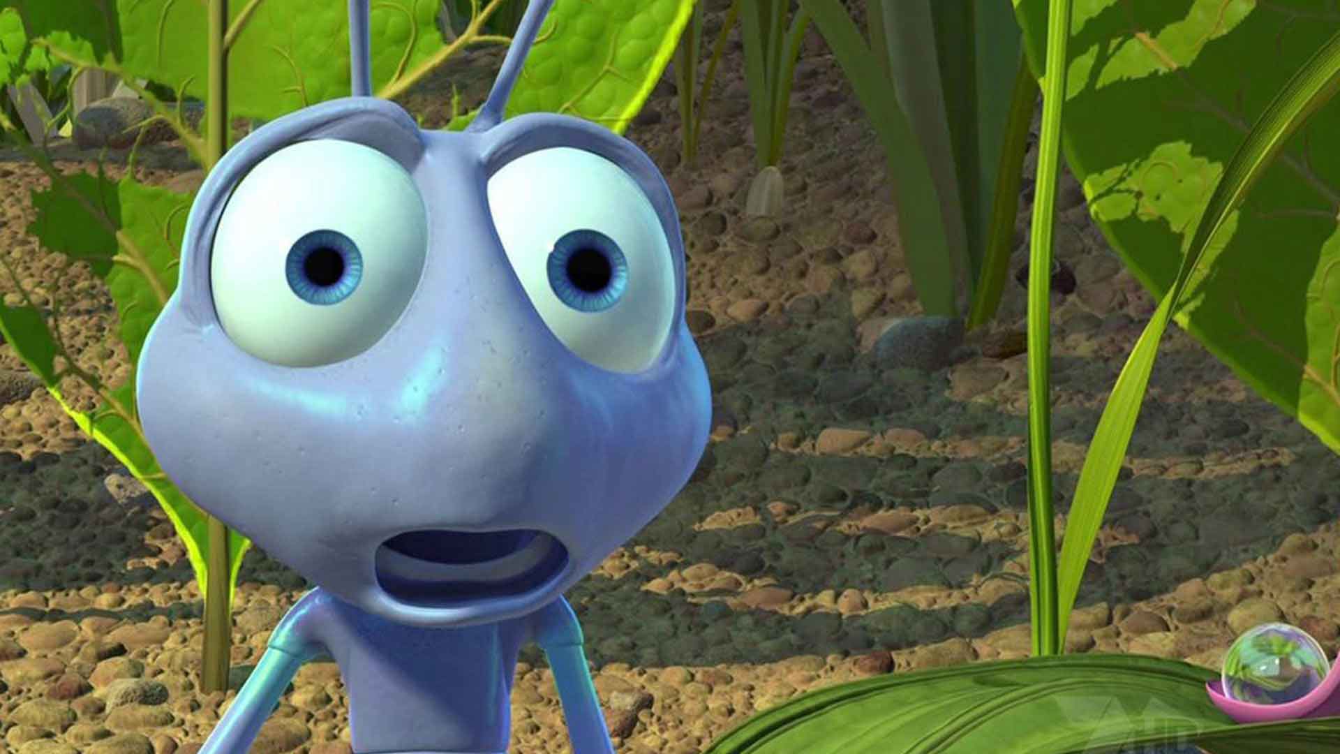 Flick is looking at the animation of an insect life
