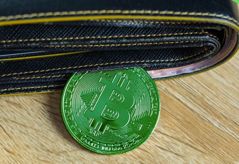 saving bitcoin cash
