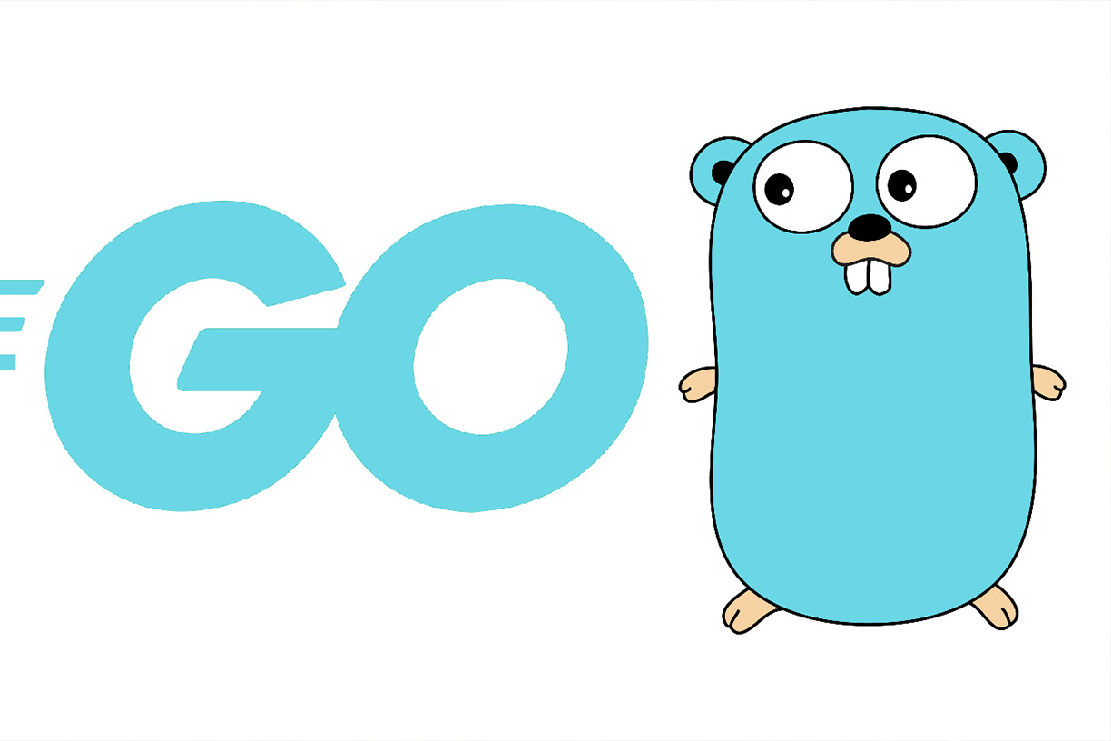 What Is Go Golang Programming Language A Complete Guide