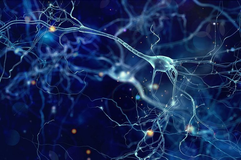How Computationally Complex Are Biological Neurons?