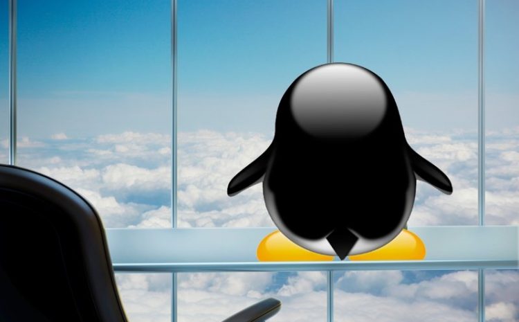 What Is A Linux Cloud And Why Is It A Good Choice For Shared Hosting?