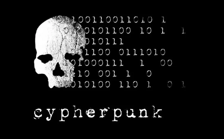 Who Are Cyberpunks And What Is Their Purpose?