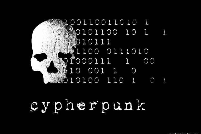 Who Are Cyberpunks And What Is Their Purpose?