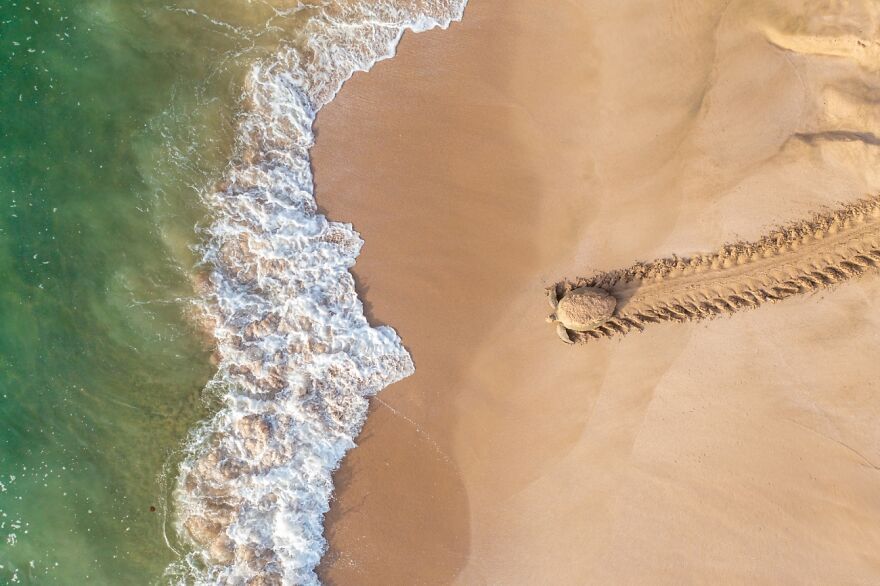 Powerful images of the winners of the 2021 UAV photography competition