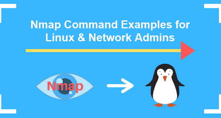 How To Use The Nmap Command In Linux To View Networked Devices?
