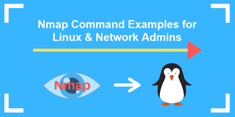How To Use The Nmap Command In Linux To View Networked Devices?