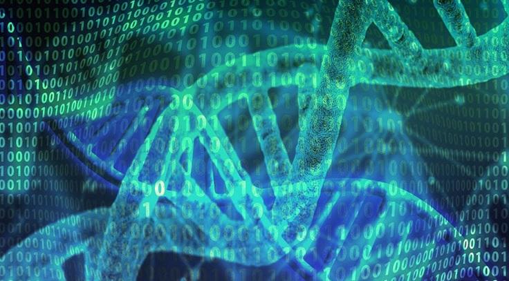 Artificial Intelligence And Genomics Predict The Therapeutic Responses Of Cancer Patients