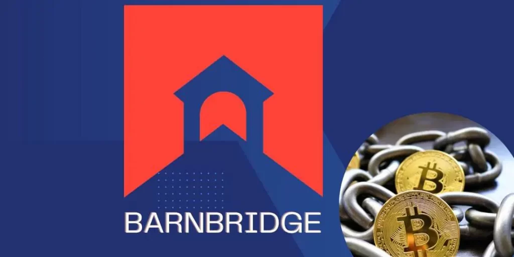 BarnBridge Digital Currency