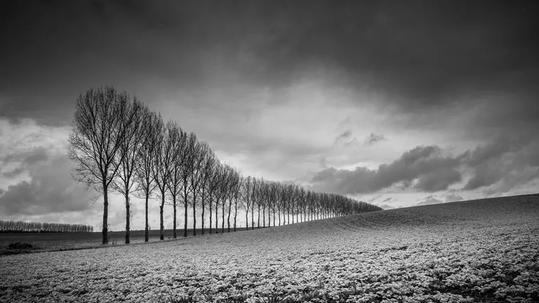 Black And White Photography: Techniques, Tips, Equipment And Everything You Need To Know