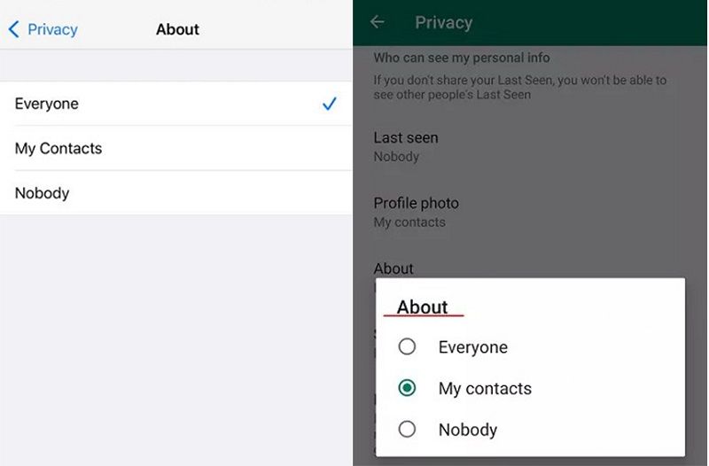 About privacy settings in WhatsApp