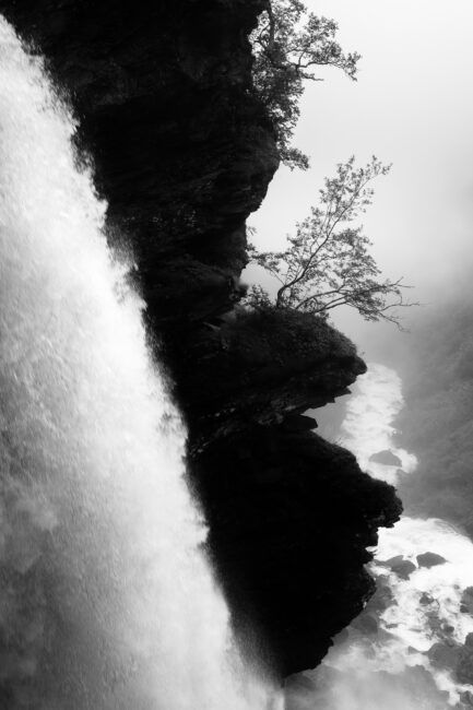 Vertical composition of black and white photography