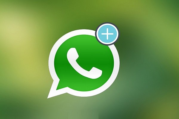 How To Find WhatsApp Member Phone Numbers?