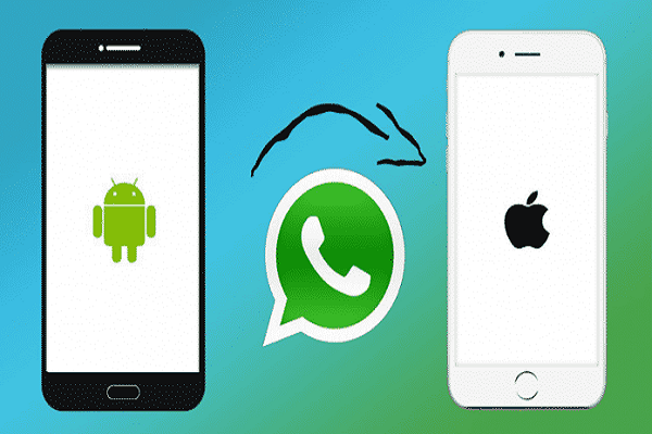How To Transfer WhatsApp Messages From Android To iPhone?