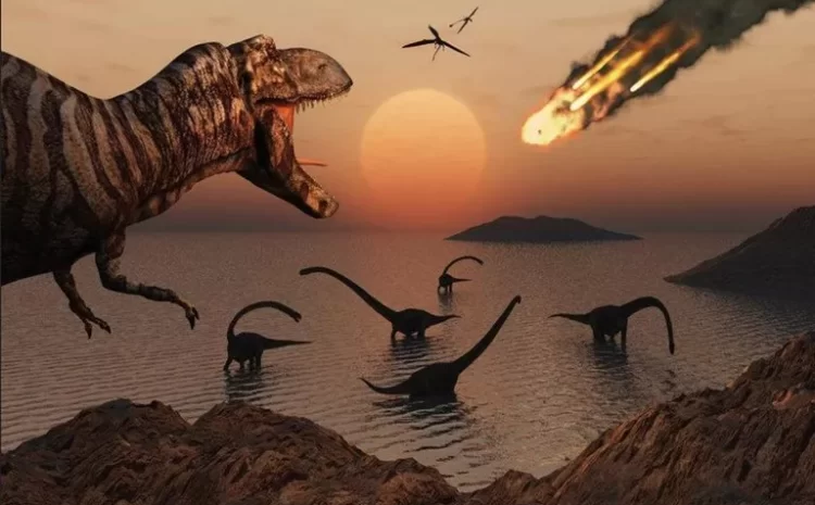 Why Can We Never Answer Some Questions About Dinosaurs?