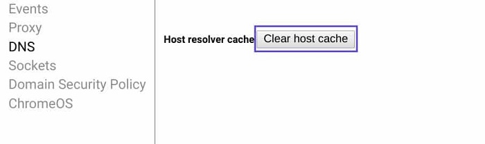 Clear browser dns