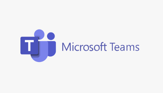 Microsoft Teams video chat software