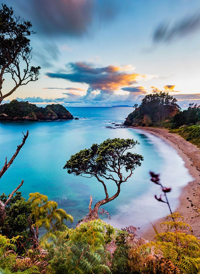 New Zealand Nature-