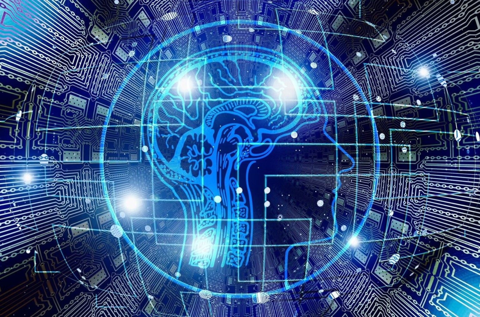 The human brain artificial intelligence