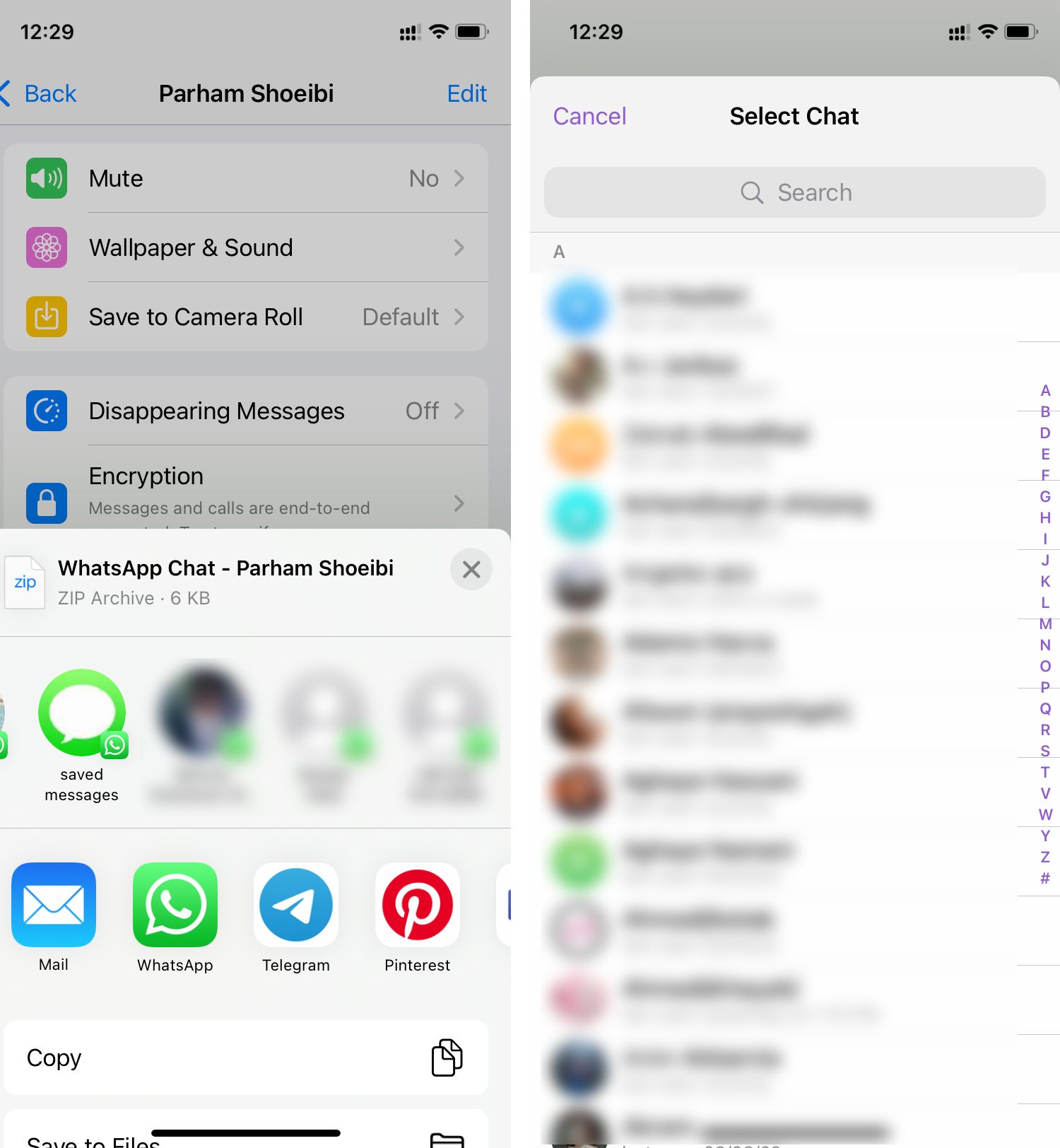 Transfer WhatsApp chat to Telegram on iPhone 2