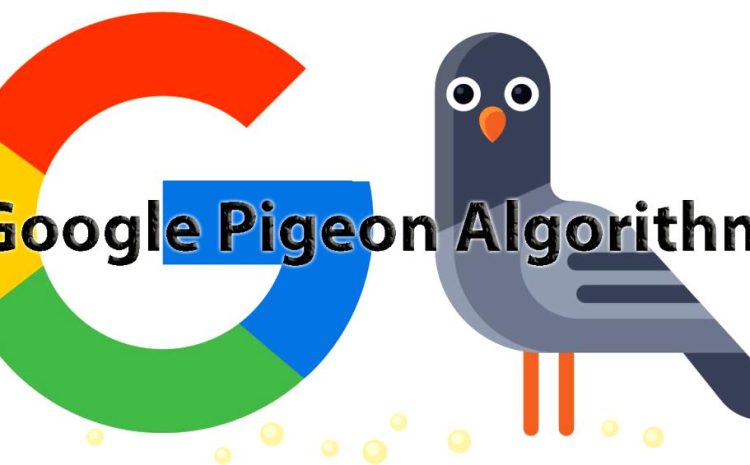 pigeon