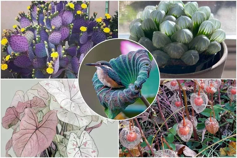 Spectacular Images Of Rare And Strange Plants