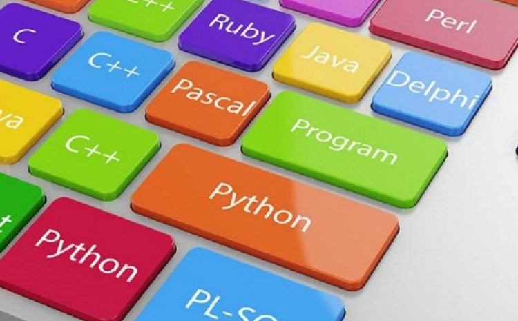 Which programming languages ​​in 1401 increase the chances of employment?