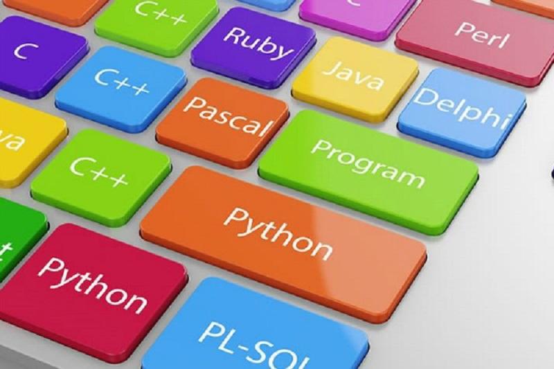 Which programming languages ​​in 1401 increase the chances of employment?