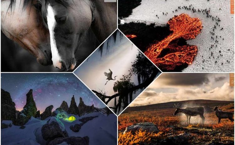 Winners Of The One Eyeland Photography Competition 2021
