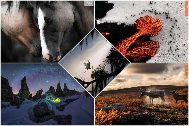 Winners Of The One Eyeland Photography Competition 2021
