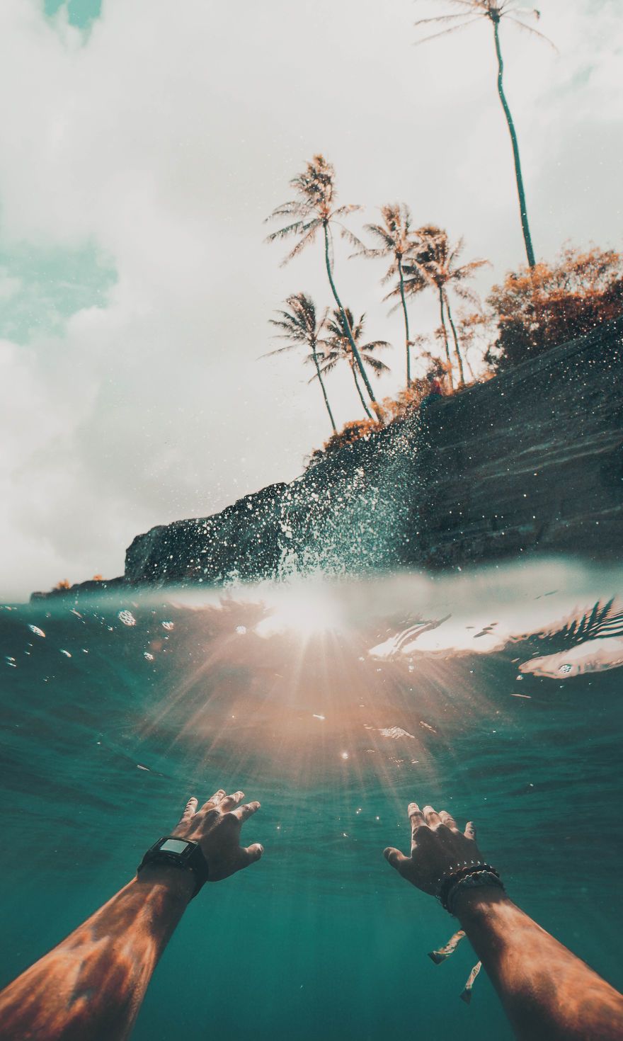 Digital Art / Palm Beach Swimming
