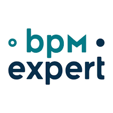 Who Is A BPMS Expert And What Is His / Her Job Description?