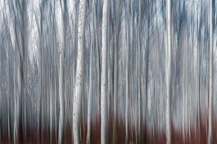 Layers of earth in nature / Nandor Lang