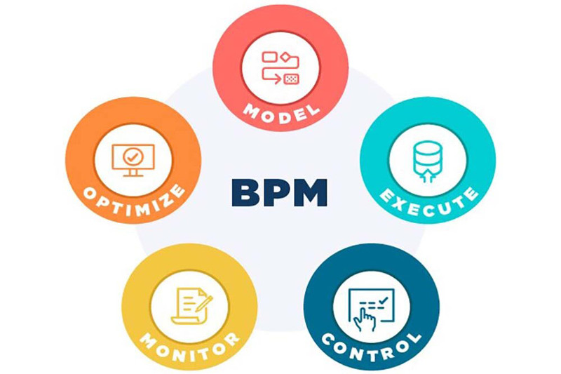 Who is a BPMS expert and what is his / her job description?
