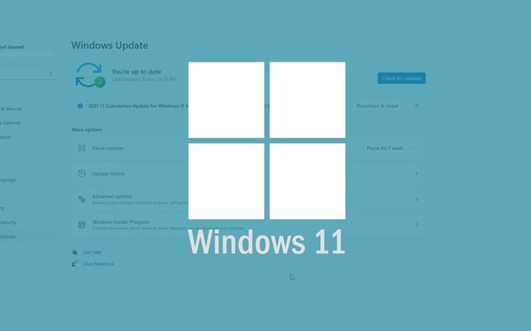 How To Disable The Windows 11 Update