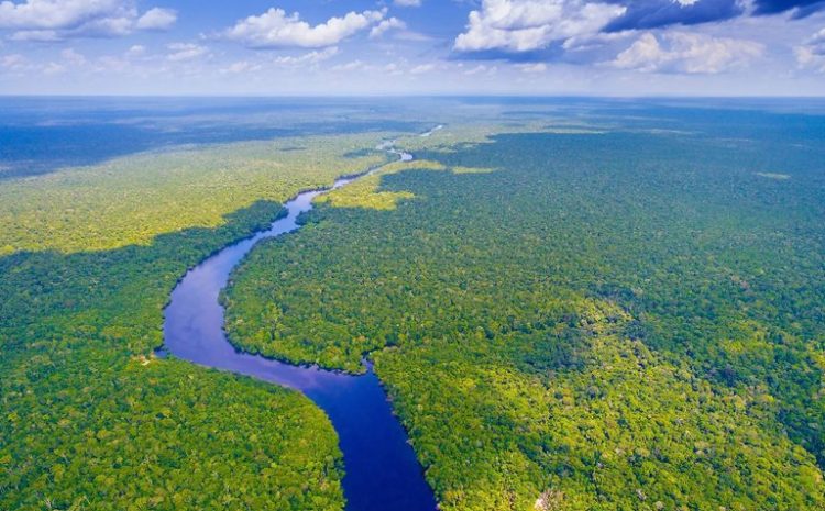 Why Is There No Bridge Over The Amazon River?