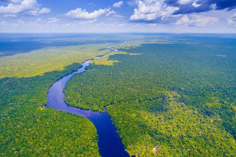 Why Is There No Bridge Over The Amazon River?