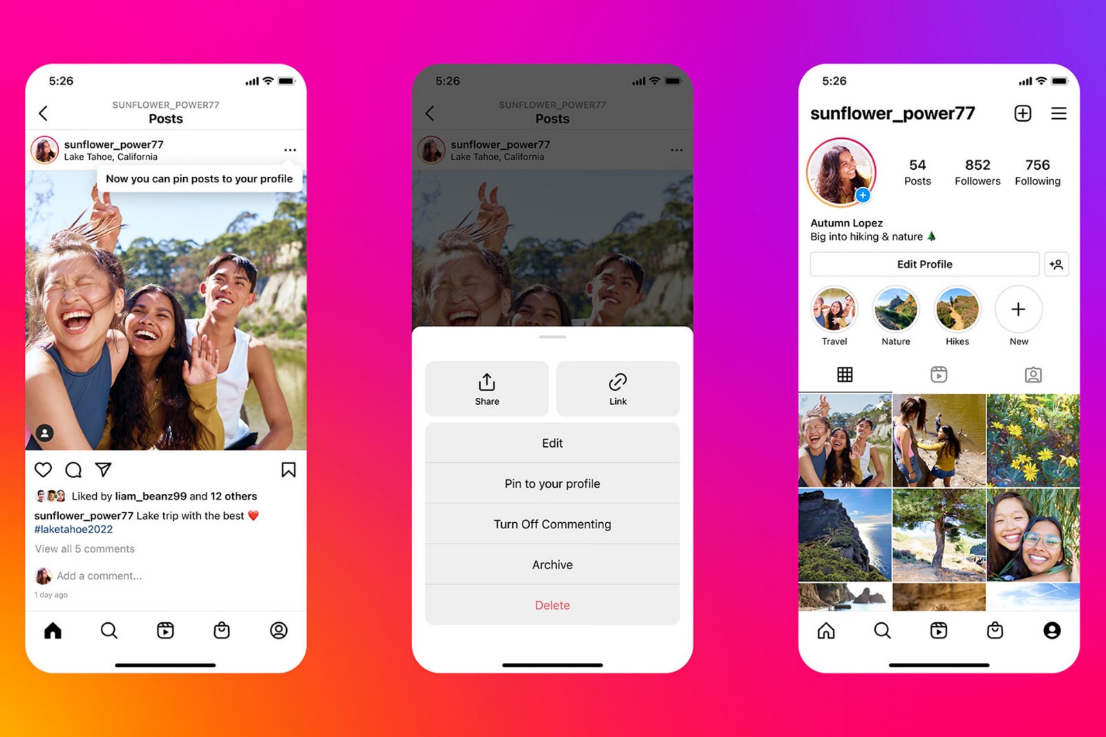 Screenshot Ability to pin posts on Instagram