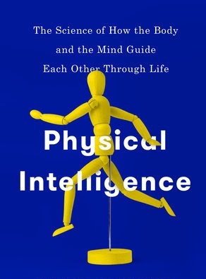 How To Strengthen Our Physical Motor Intelligence?