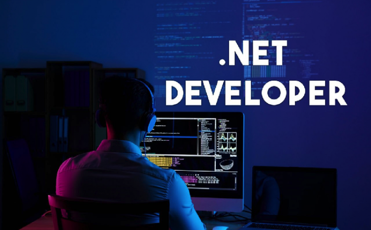The Complete Guide To Hiring A .NET Developer Who Is A .NET Developer And How To Hire Such A Person?