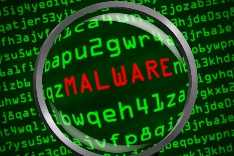 Who is a malware analyst and what are his duties?