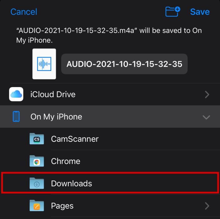1- Transfer voice and WhatsApp audio files using Files